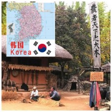 韓國Korea偏遠地區郵編查詢-TNT國際快遞
